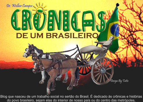 Cronicas de um Brasileiro